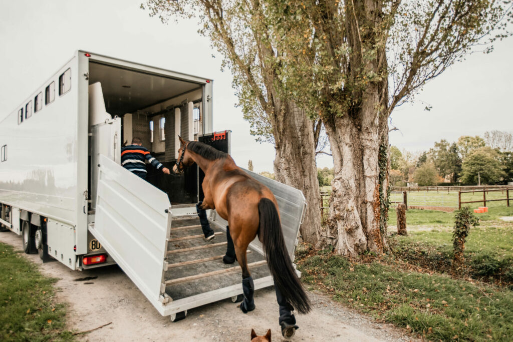 Comment choisir un transporteur équin professionnel ?